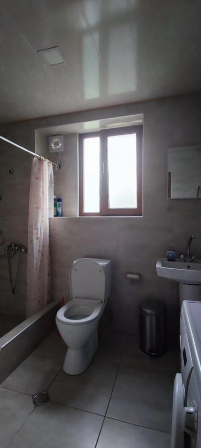 Guest House Lela Rezo カズベギ エクステリア 写真