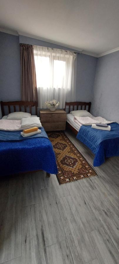 Guest House Lela Rezo カズベギ エクステリア 写真