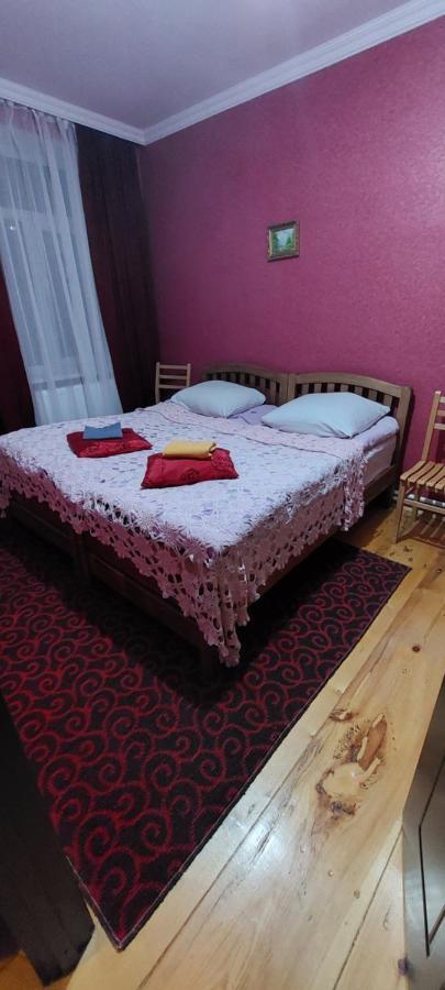 Guest House Lela Rezo カズベギ エクステリア 写真